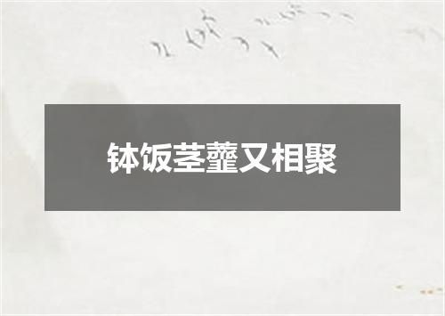 钵饭茎虀又相聚