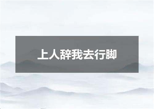 上人辞我去行脚