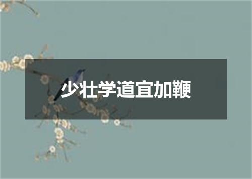 少壮学道宜加鞭