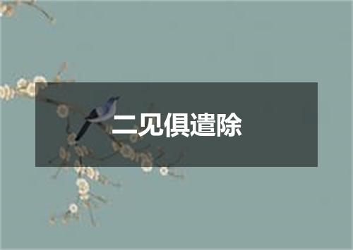 二见俱遣除