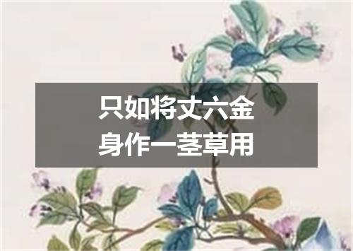 只如将丈六金身作一茎草用