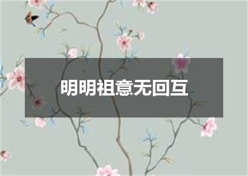 明明祖意无回互