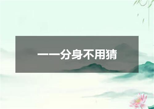 一一分身不用猜
