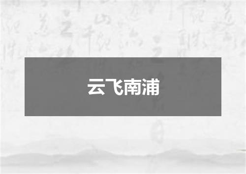 云飞南浦