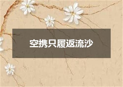 空携只履返流沙