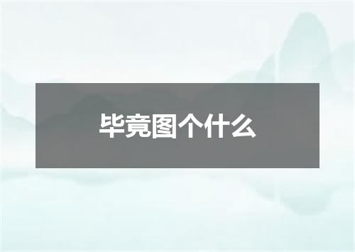 毕竟图个什么