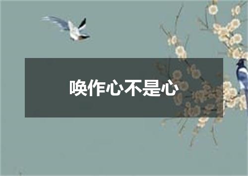 唤作心不是心