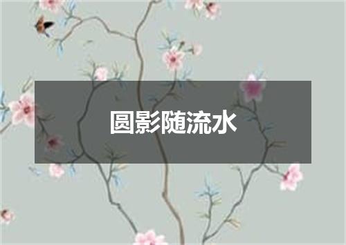 圆影随流水