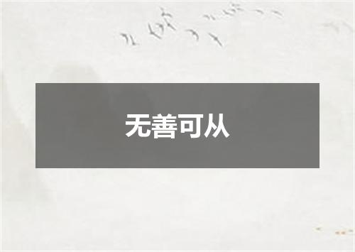 无善可从