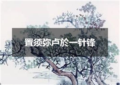 置须弥卢於一针锋