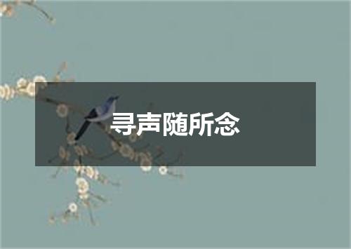 寻声随所念