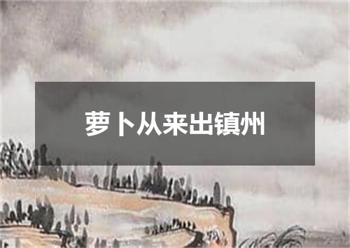 萝卜从来出镇州