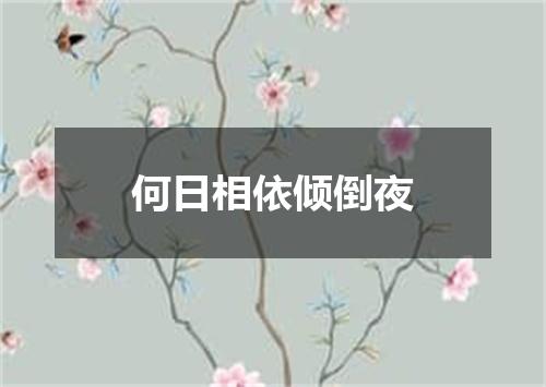 何日相依倾倒夜