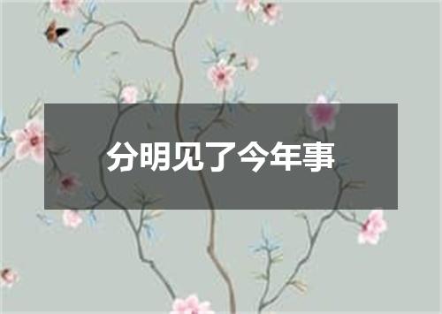 分明见了今年事