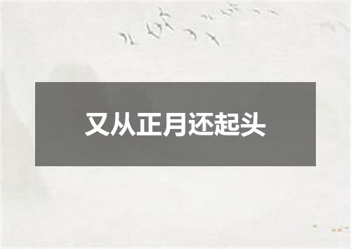 又从正月还起头