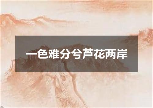 一色难分兮芦花两岸