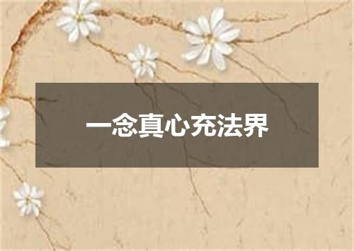 一念真心充法界