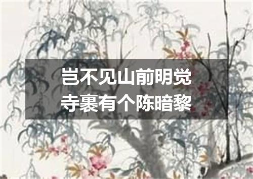 岂不见山前明觉寺裹有个陈暗黎