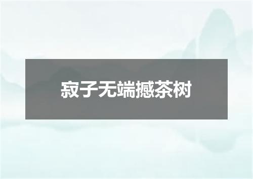 寂子无端撼茶树