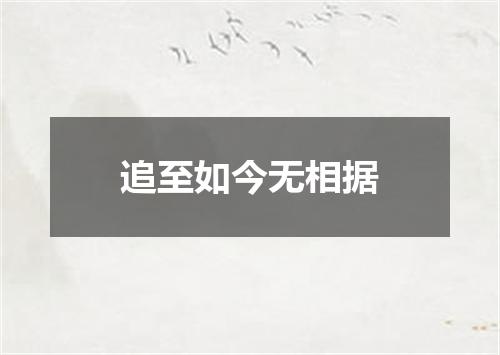 追至如今无相据