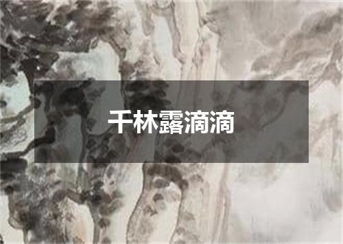 千林露滴滴