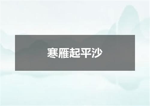 寒雁起平沙