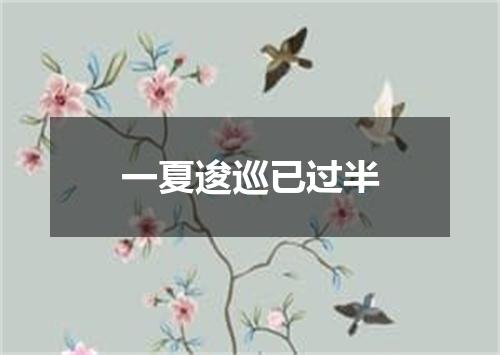 一夏逡巡已过半