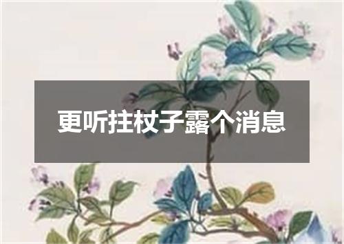 更听拄杖子露个消息