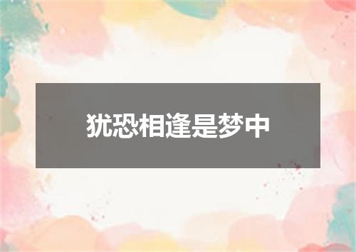 犹恐相逢是梦中