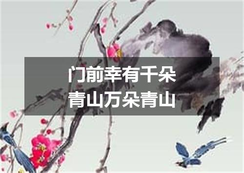 门前幸有千朵青山万朵青山