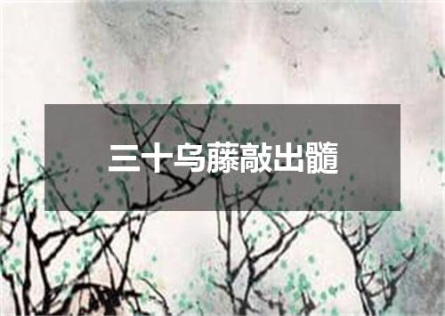 三十乌藤敲出髓