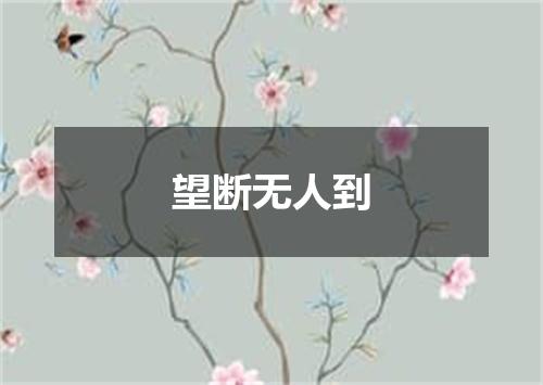 望断无人到