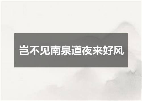 岂不见南泉道夜来好风
