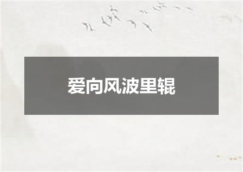 爱向风波里辊