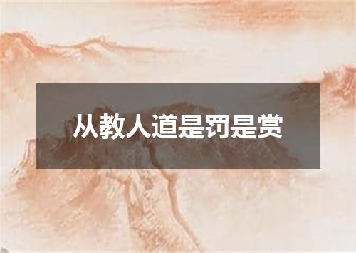 从教人道是罚是赏