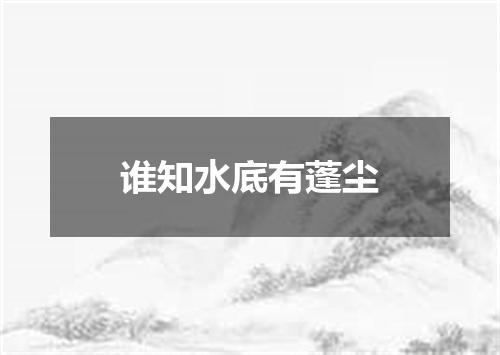 谁知水底有蓬尘