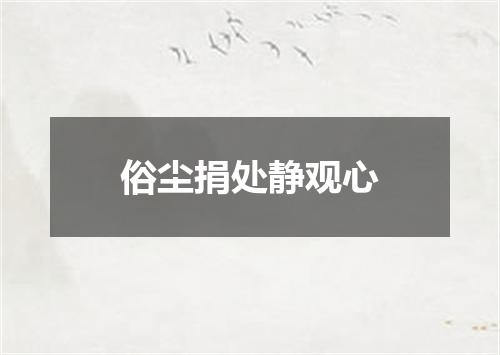 俗尘捐处静观心