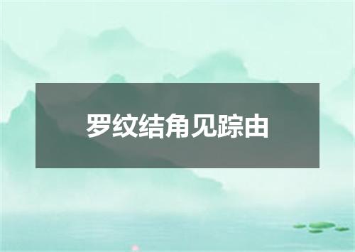 罗纹结角见踪由