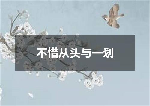 不惜从头与一划