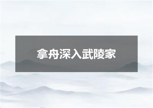 拿舟深入武陵家