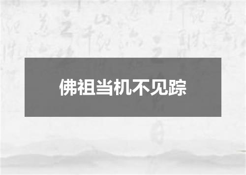 佛祖当机不见踪
