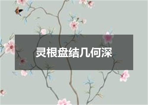 灵根盘结几何深