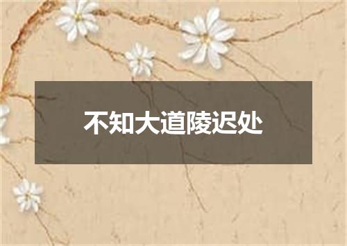 不知大道陵迟处