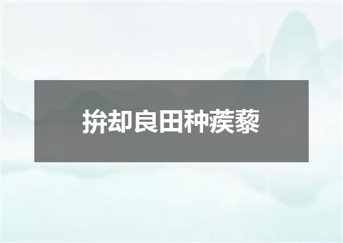 拚却良田种蒺藜