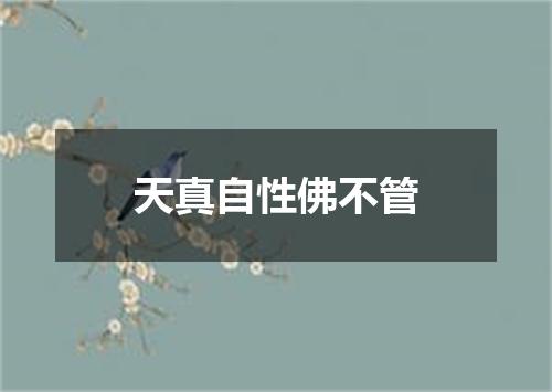 天真自性佛不管