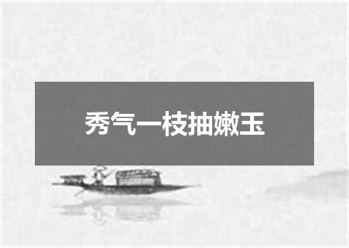 秀气一枝抽嫩玉