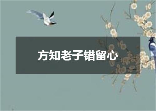 方知老子错留心
