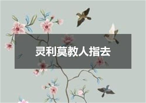 灵利莫教人指去