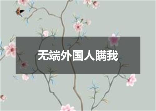 无端外国人瞒我