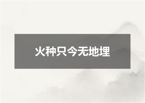 火种只今无地埋